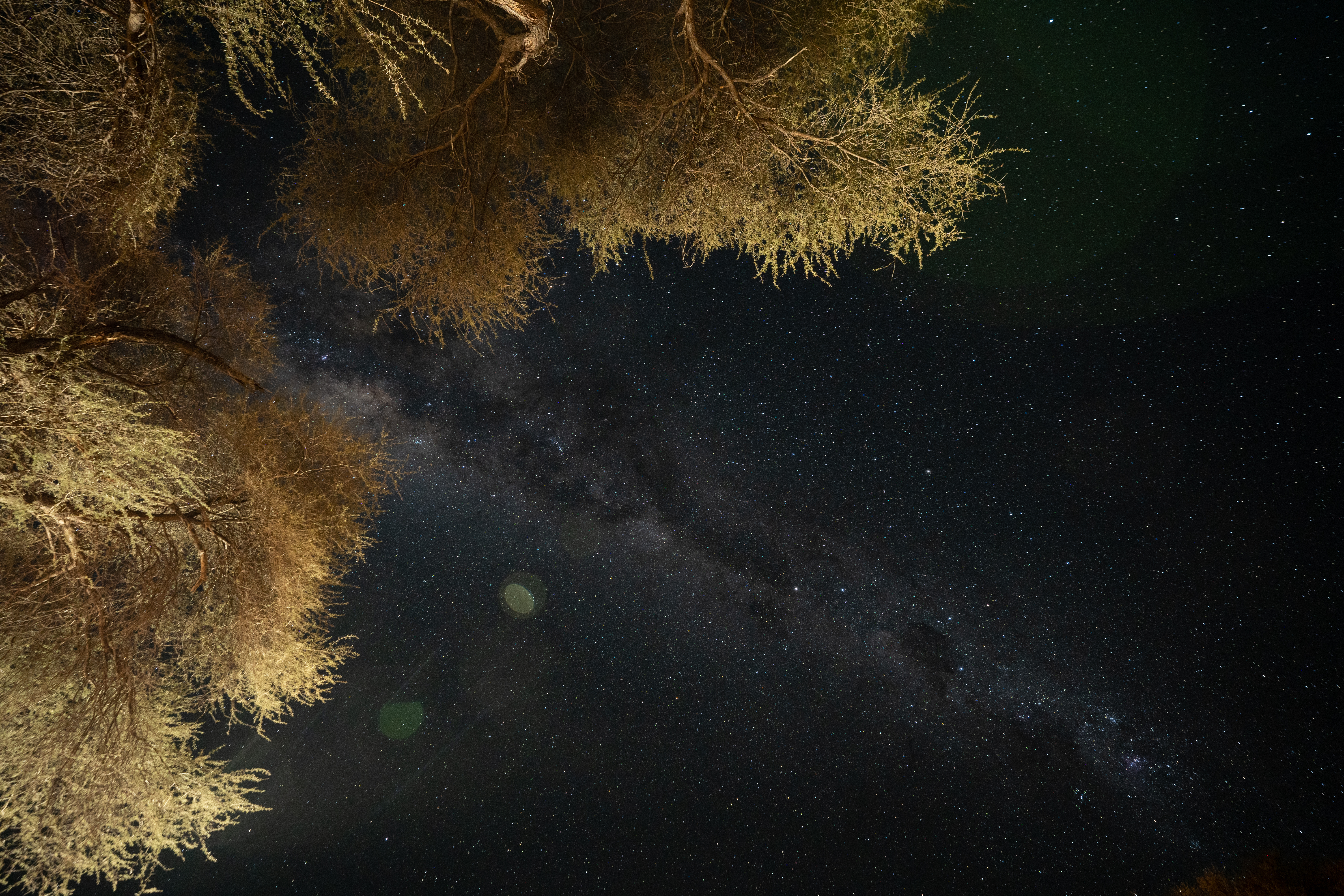 Netjies Featured Work