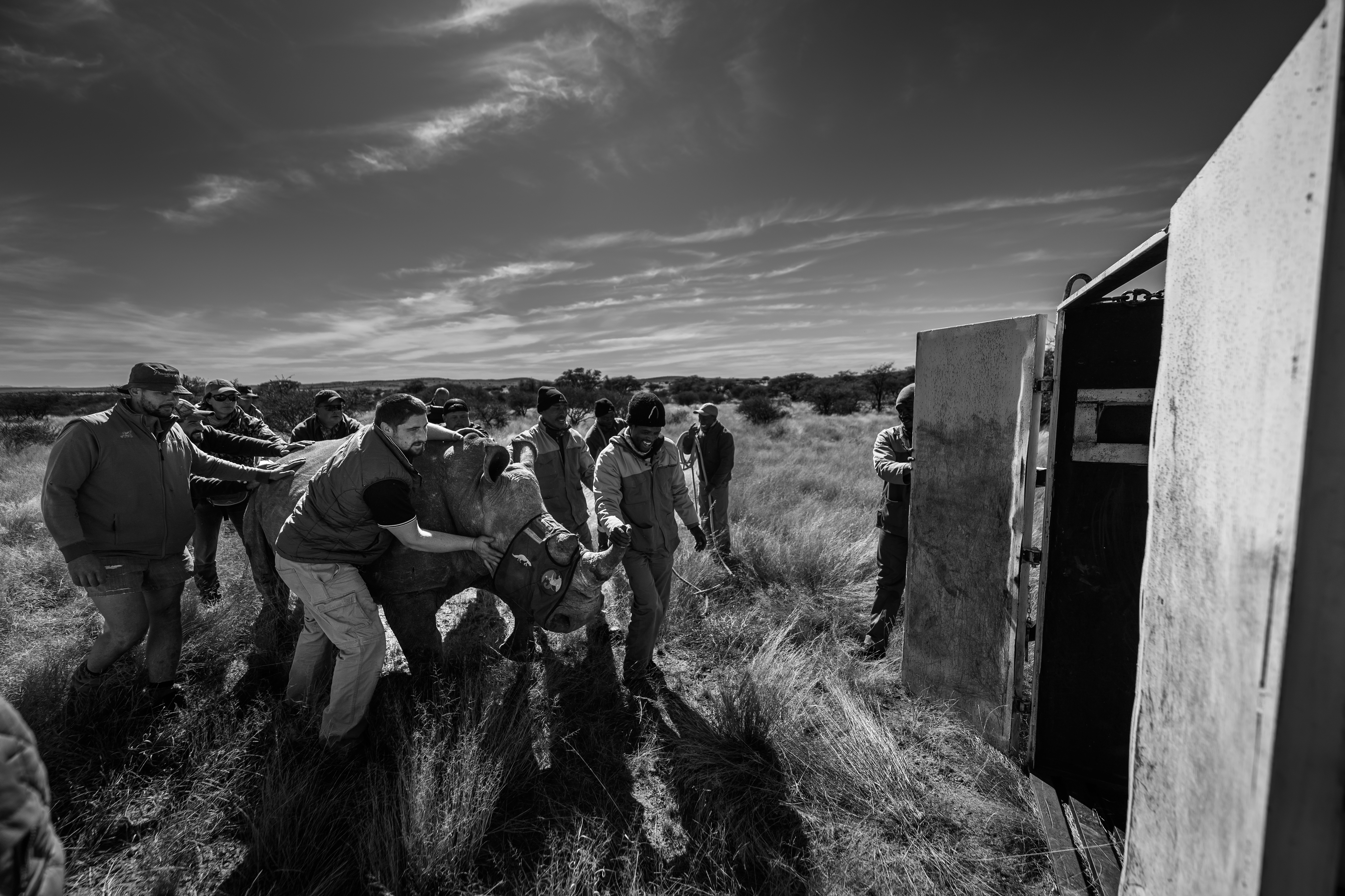 Netjies Featured Work