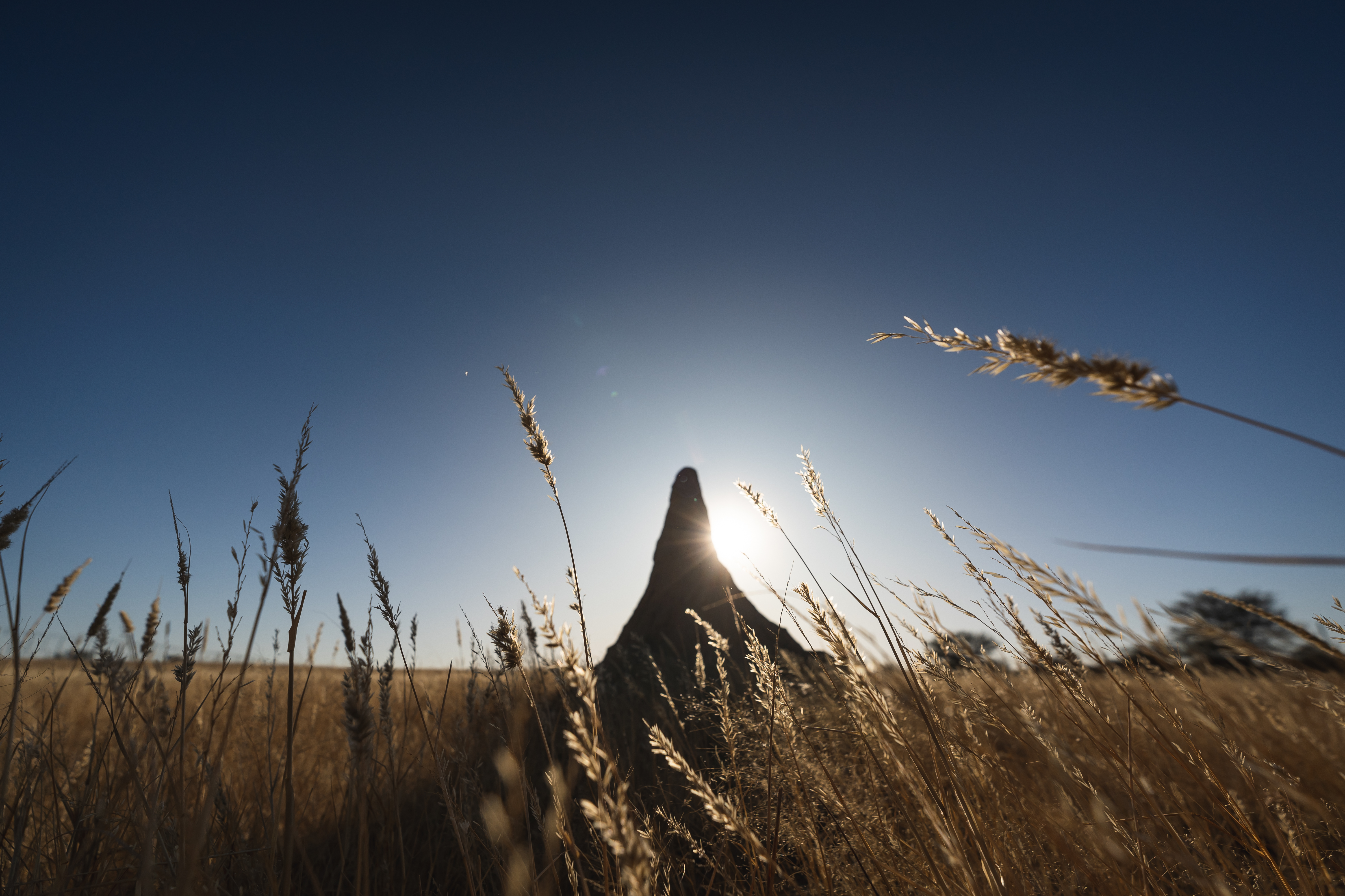 Netjies Featured Work